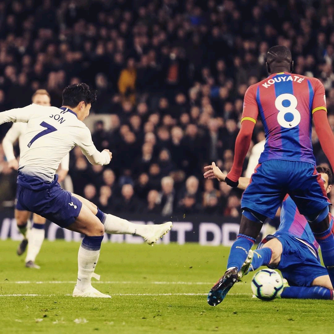 望能找出更 望能找出更