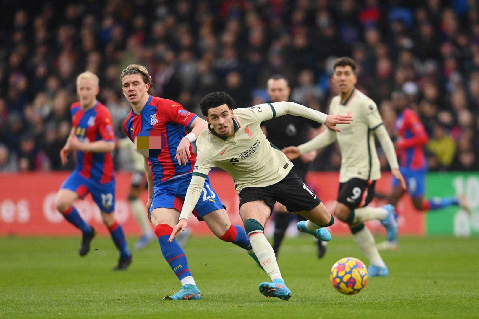 的融洽关系 的融洽关系